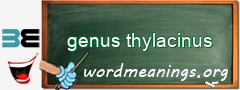 WordMeaning blackboard for genus thylacinus
